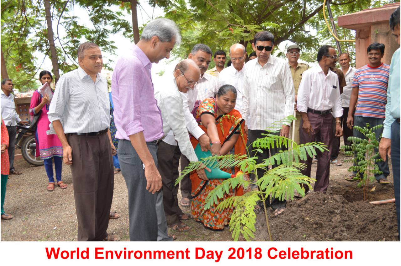 Unique Gallery Image 2